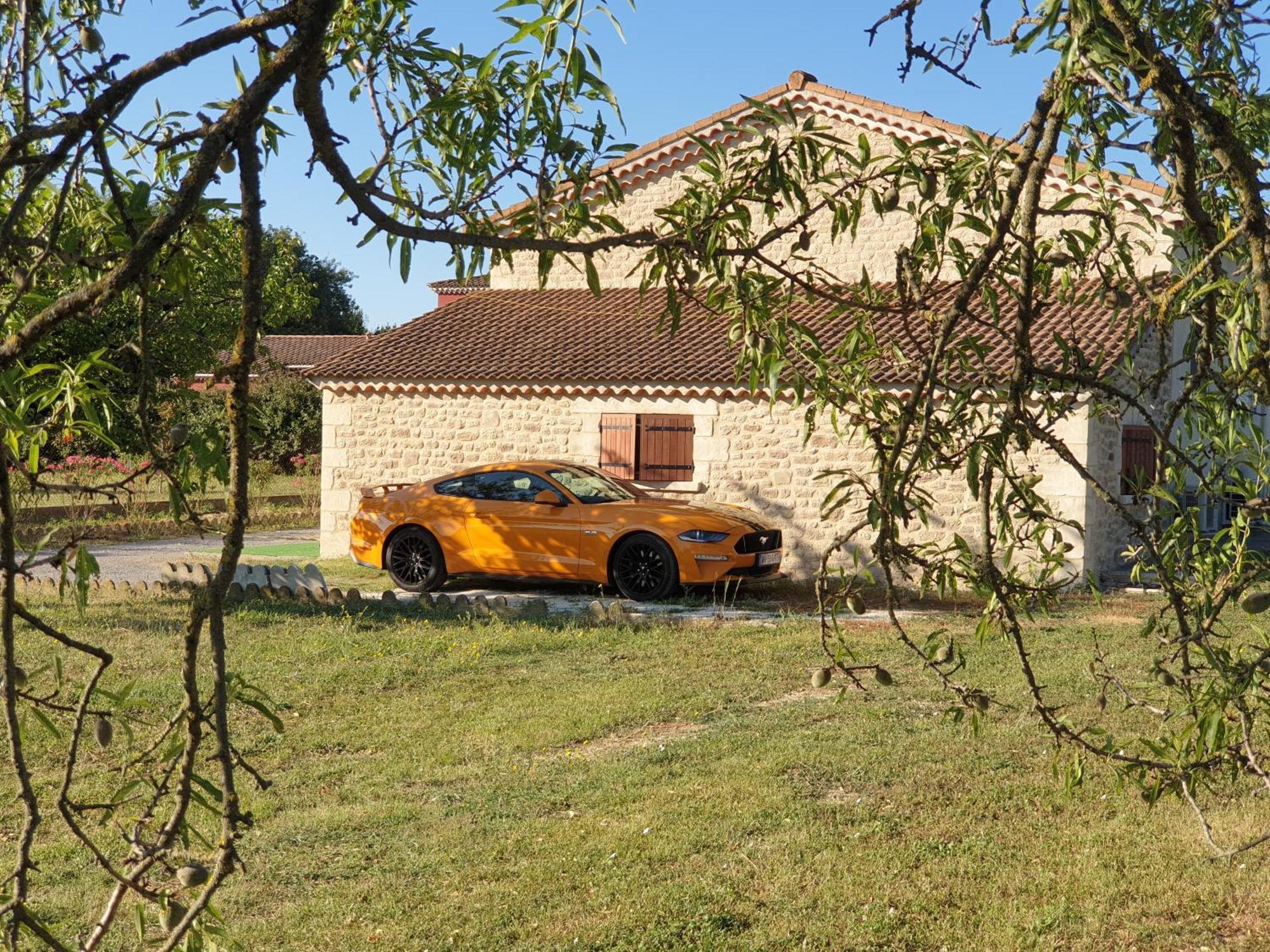 Gite Et Piscine L'Ecrin Aux Oliviers En Cevennes Saint-Christol-lès-Alès エクステリア 写真